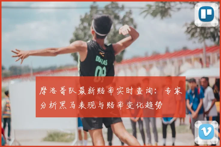 摩洛哥队最新赔率实时查询：专家分析黑马表现与赔率变化趋势